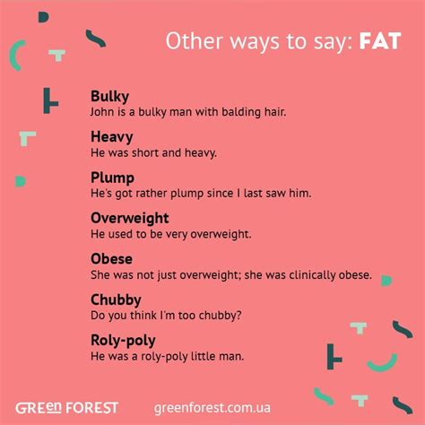 How do you say fat in slang?
