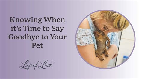 How do you say final goodbye to a pet?