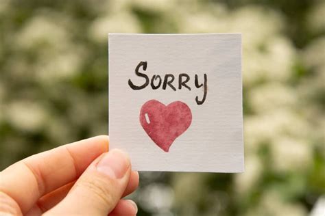 How do you say sorry indirectly?