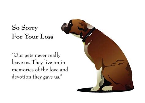 How do you say sorry to your pet died?