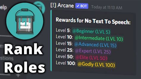 How do you set level roles on Discord?