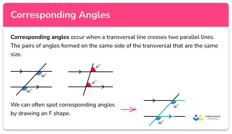 How do you show an angle is congruent to a corresponding angle?