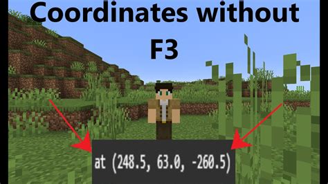 How do you show coordinates in Minecraft without F3?