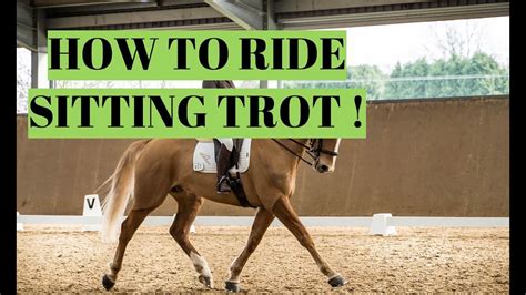 How do you sit a trot for beginners?