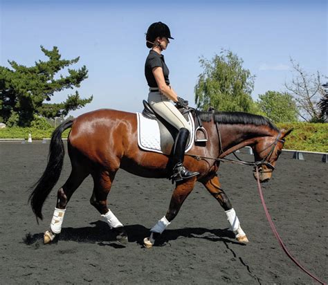 How do you sit when trotting?