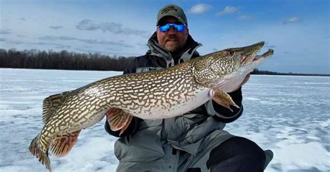 How do you skin a northern pike?