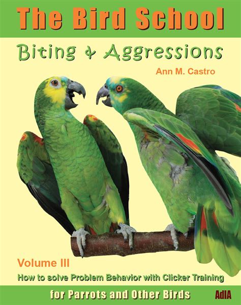 How do you stop a parrot from being aggressive?