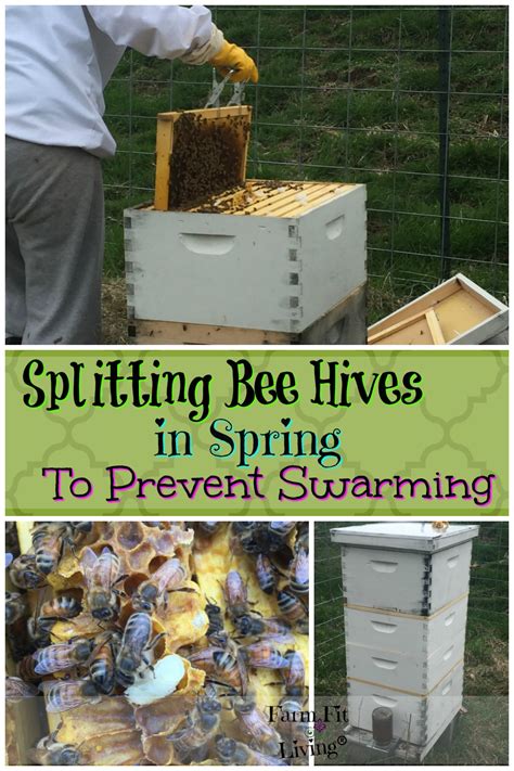 How do you stop bees from swarming?