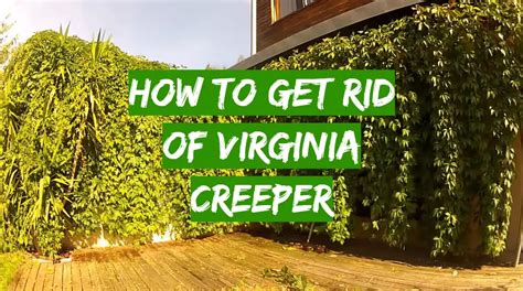 How do you stop creepers?