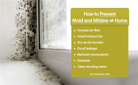 How do you stop mold from spreading?