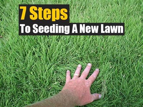 How do you stop seeding?