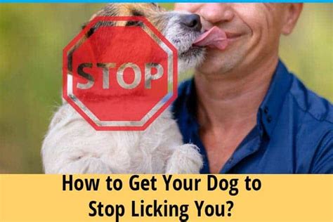 How do you stop your dog from licking you too much?