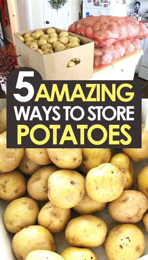 How do you store potatoes for 5 months?