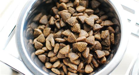 How do you store wet kibble?