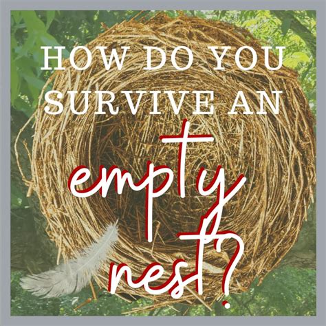 How do you survive an empty nester?