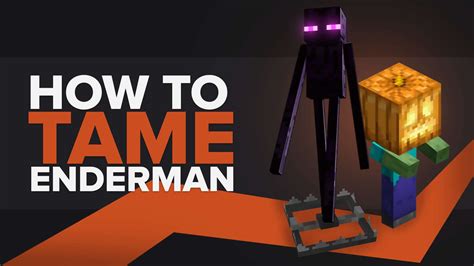 How do you tame an Enderman?