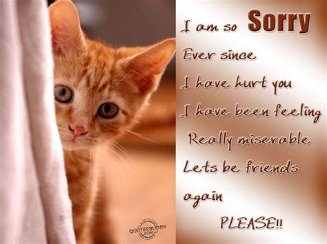 How do you tell a cat sorry?
