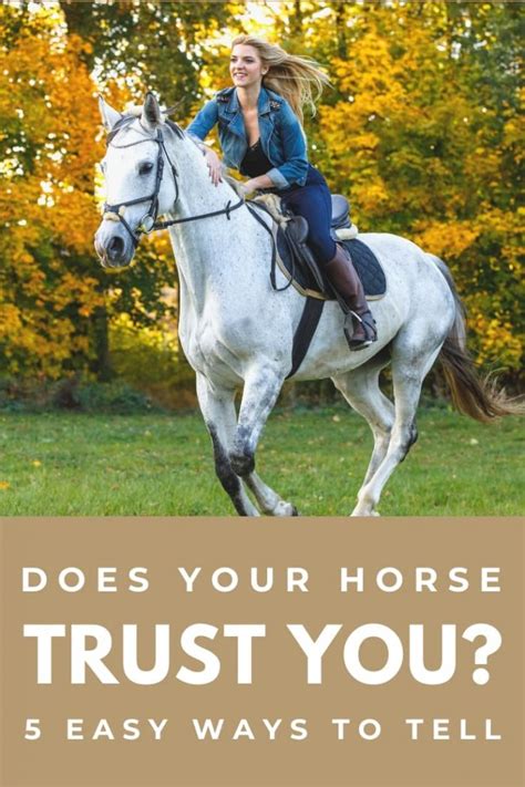 How do you tell if a horse trusts you?