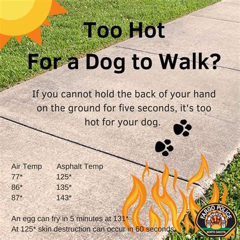 How do you tell if it's too hot to walk your dog?