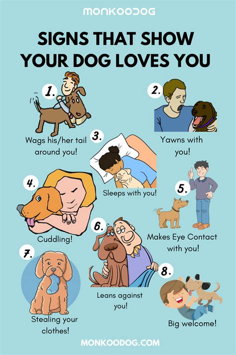 How do you tell if your dog loves you?