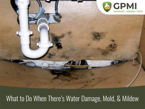 How do you test for mold after a water leak?