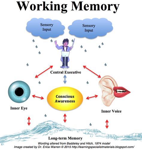 How do you test working memory?