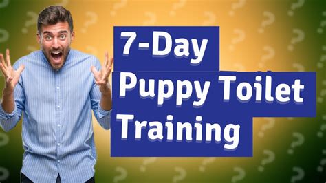How do you toilet train a puppy in 7 days?