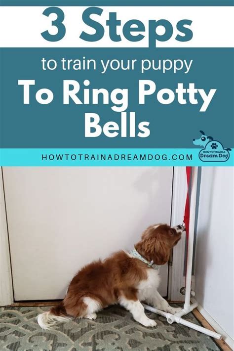 How do you train a puppy to use bells to potty?