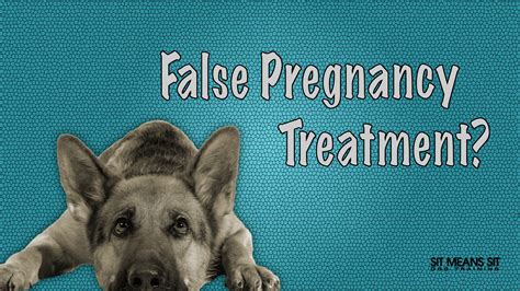 How do you treat a dog with a false pregnancy?