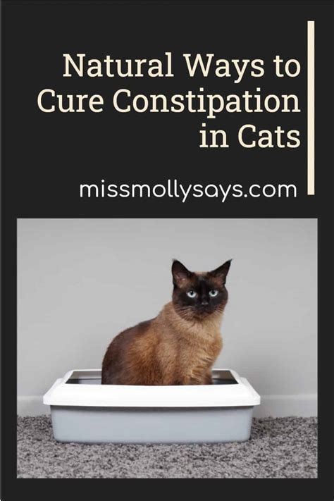 How do you treat constipation in animals?
