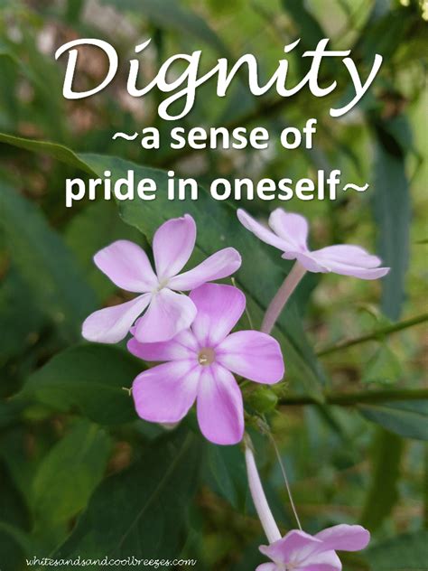 How do you treat others with dignity?