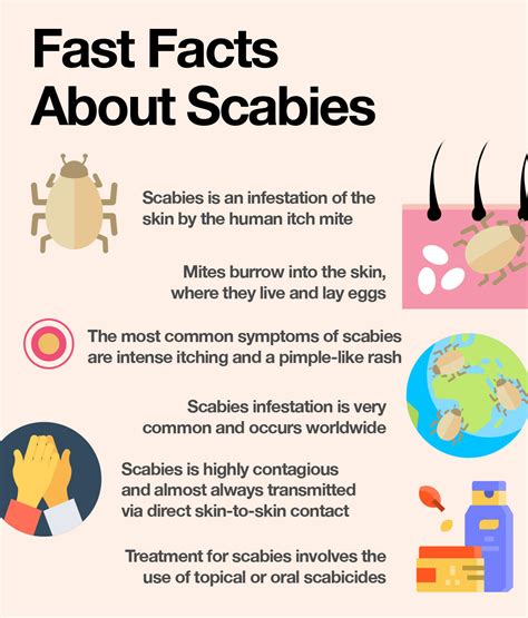 How do you treat scabies in hamsters?