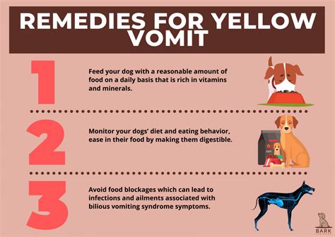 How do you treat yellow vomiting in dogs?