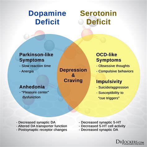 How do you trigger dopamine in a partner?