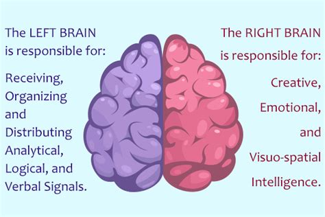 How do you unlock both sides of your brain?