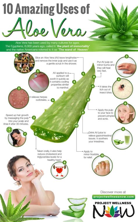 How do you use aloe vera at night?