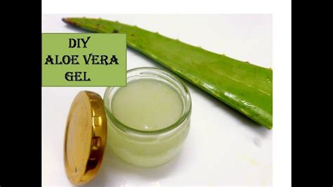How do you use aloe vera gel directly from a plant?