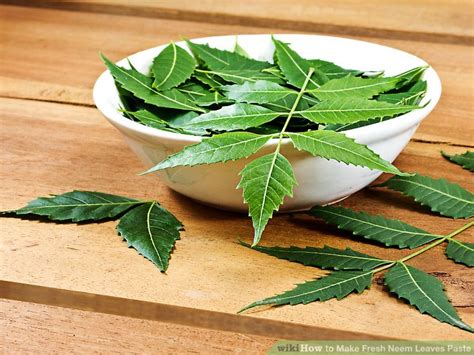 How do you use fresh neem leaves?