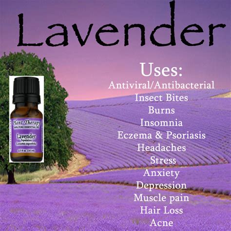 How do you use lavender essential oil?