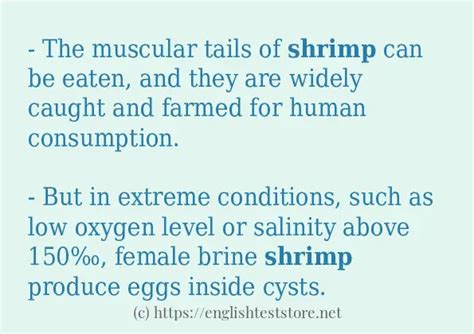 How do you use shrimps in a sentence?