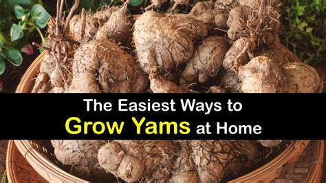How do you use yam air?