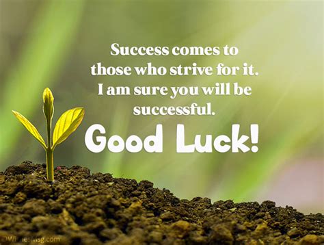 How do you wish someone a good success?