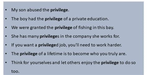 How do you write privilege in a sentence?
