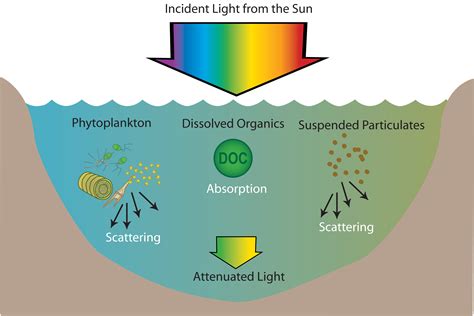 How does CO2 absorb light?