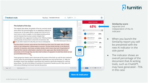 How does Turnitin detect similarity?