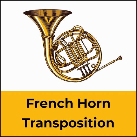 How does a French horn in F transpose?