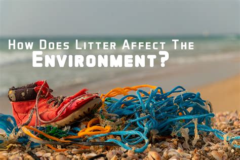 How does a clean environment affect you?
