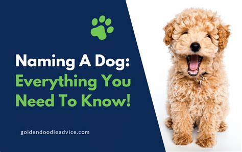 How does a dog know its name?