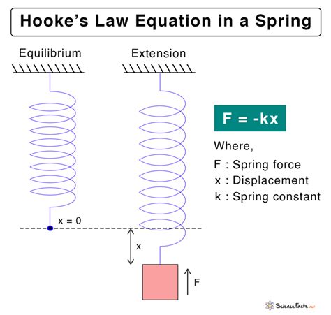 How does a graph prove Hooke's Law?