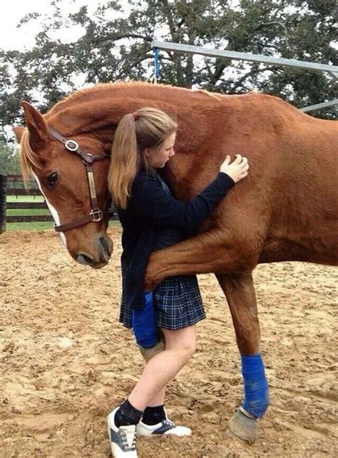 How does a horse hug you?
